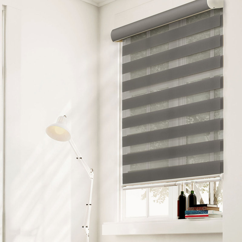 Latitude Run® Bucura FreeStop Zebra Dual Layer Combi Window SemiSheer Gray Roller Shade